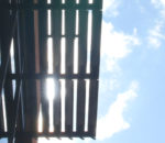 Regent-2_450x130_acf_cropped