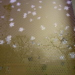 SAM_0013-Copy_450x349_acf_cropped